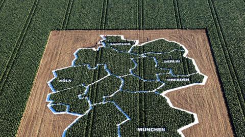 Deutschlandkarte aus 20.000 Kohlköpfen