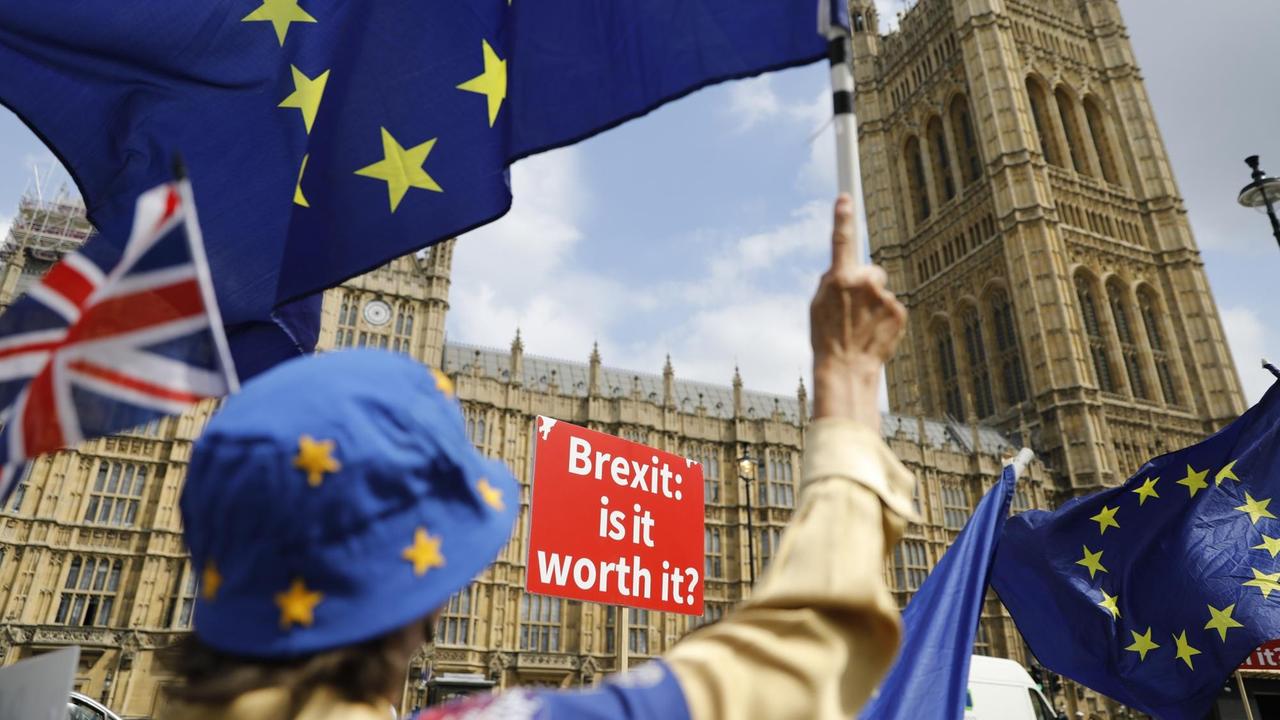 Anti-Brexit-Demonstranten vor dem Parlament in London