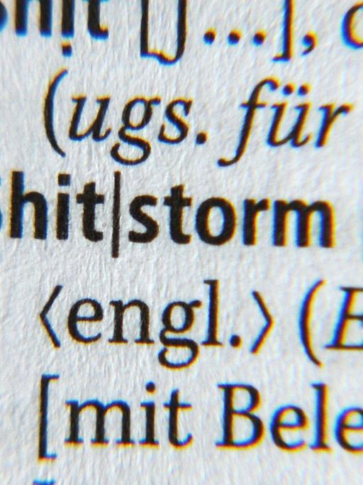 Das Wort "Shitstorm" steht im Duden