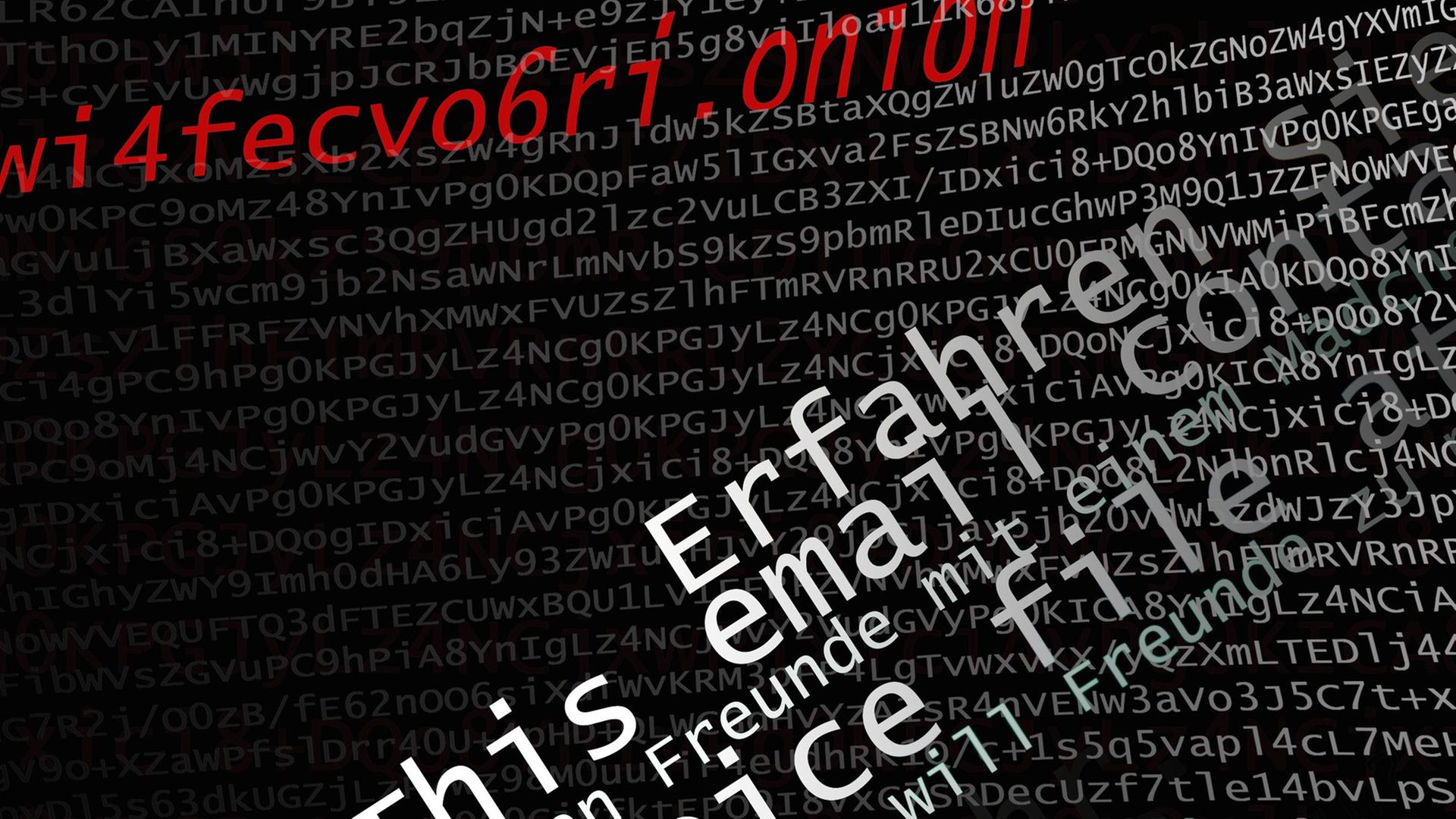 Die Illustration spielt mit Verschlüsselung, Adressen des Tor-Netzwerks ("Darknet") und Spam-Mails. Der Hintergrund ist der Quellcode einer Email.