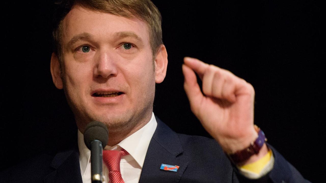 Der ehemalige AfD-Landesvorsitzende in Sachsen-Anhalt, André Poggenburg Der ehemalige AfD-Landesvorsitzende in Sachsen-Anhalt, André Poggenburg