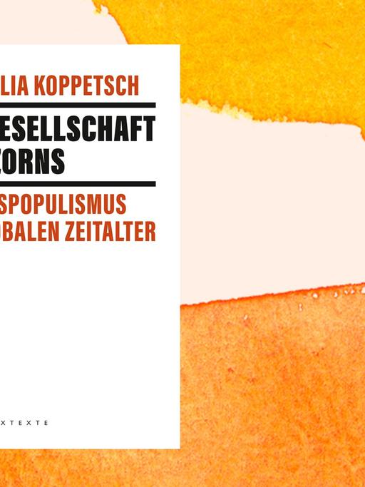 Die Abbildung zeigt das Cover von Koppetschs "Die Gesellschaft des Zorns".