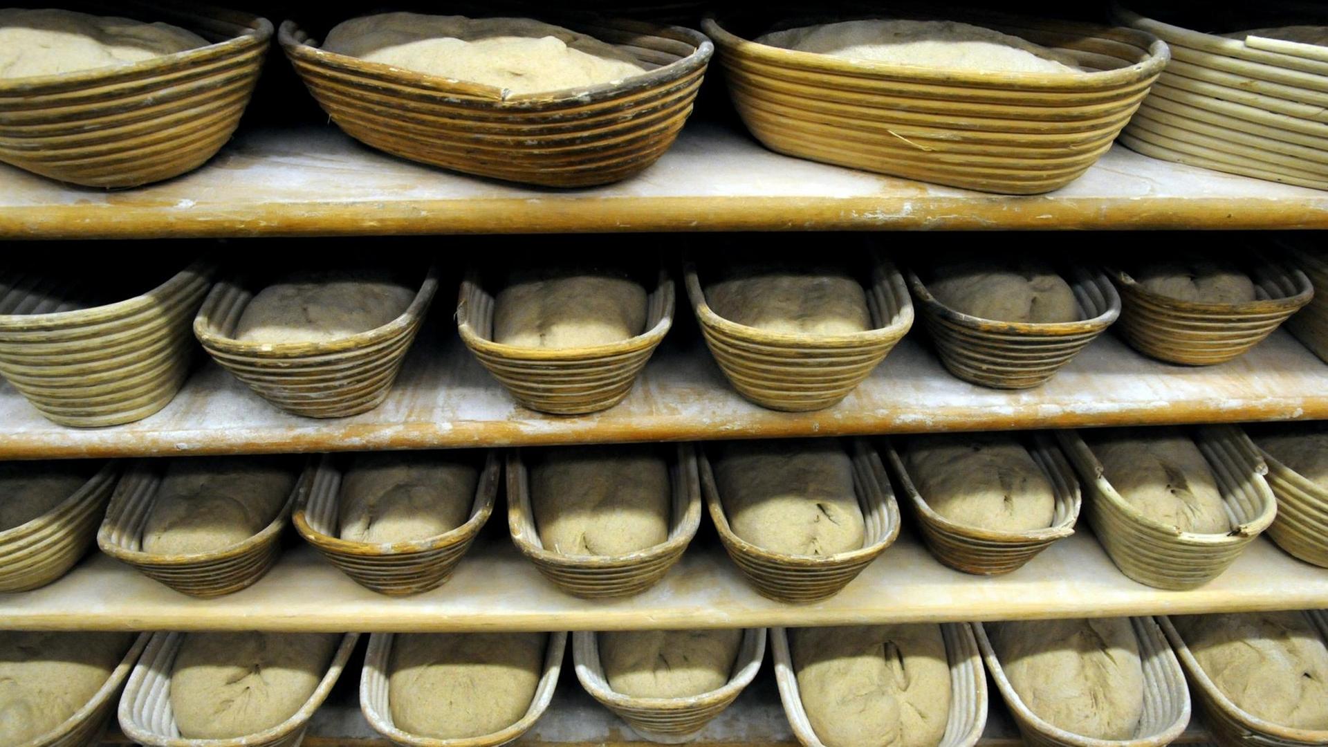 Brotrohlinge liegen in Holzkörben einer Bäckerei. Brotrohlinge liegen in Holzkörben einer Bäckerei.