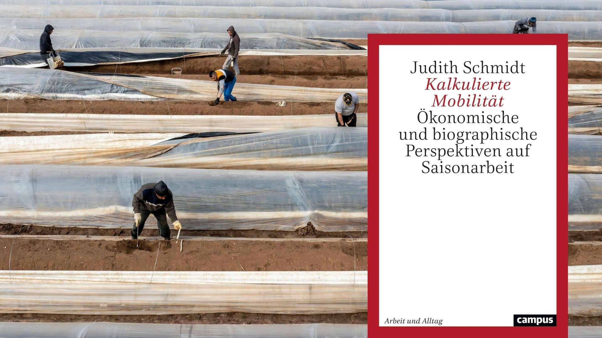 Buchcover Judith Schmidt: "Kalkulierte Mobilität. Ökonomische und biographische Perspektiven auf Saisonarbeit“. Im Hintergrund Saisonarbeiter auf einem Spargelfeld. Buchcover Judith Schmidt: "Kalkulierte Mobilität. Ökonomische und biographische Perspektiven auf Saisonarbeit“. Im Hintergrund Saisonarbeiter auf einem Spargelfeld.