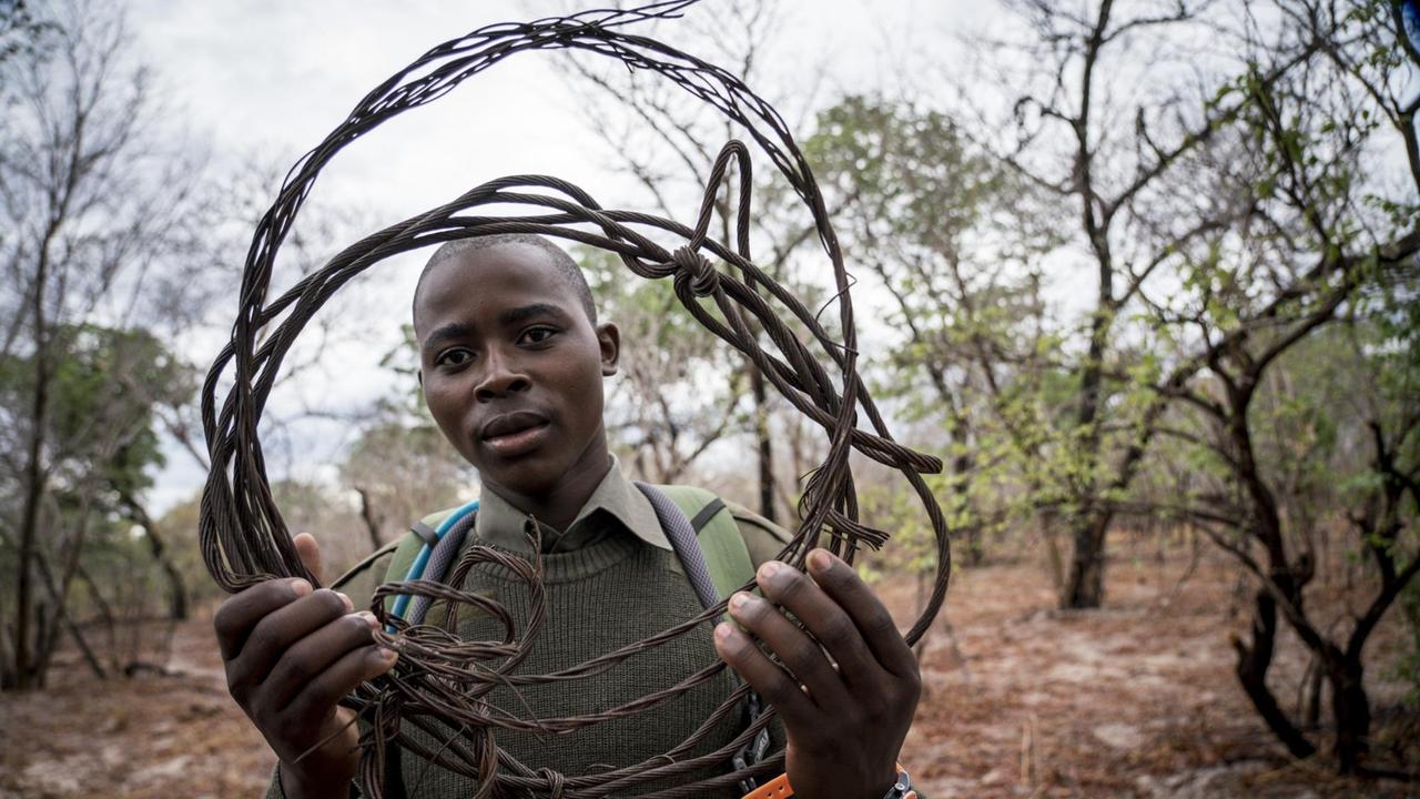 Junger Mann einer Anti-Wilderer-Einheit zeigt eine Drahtschlinge.