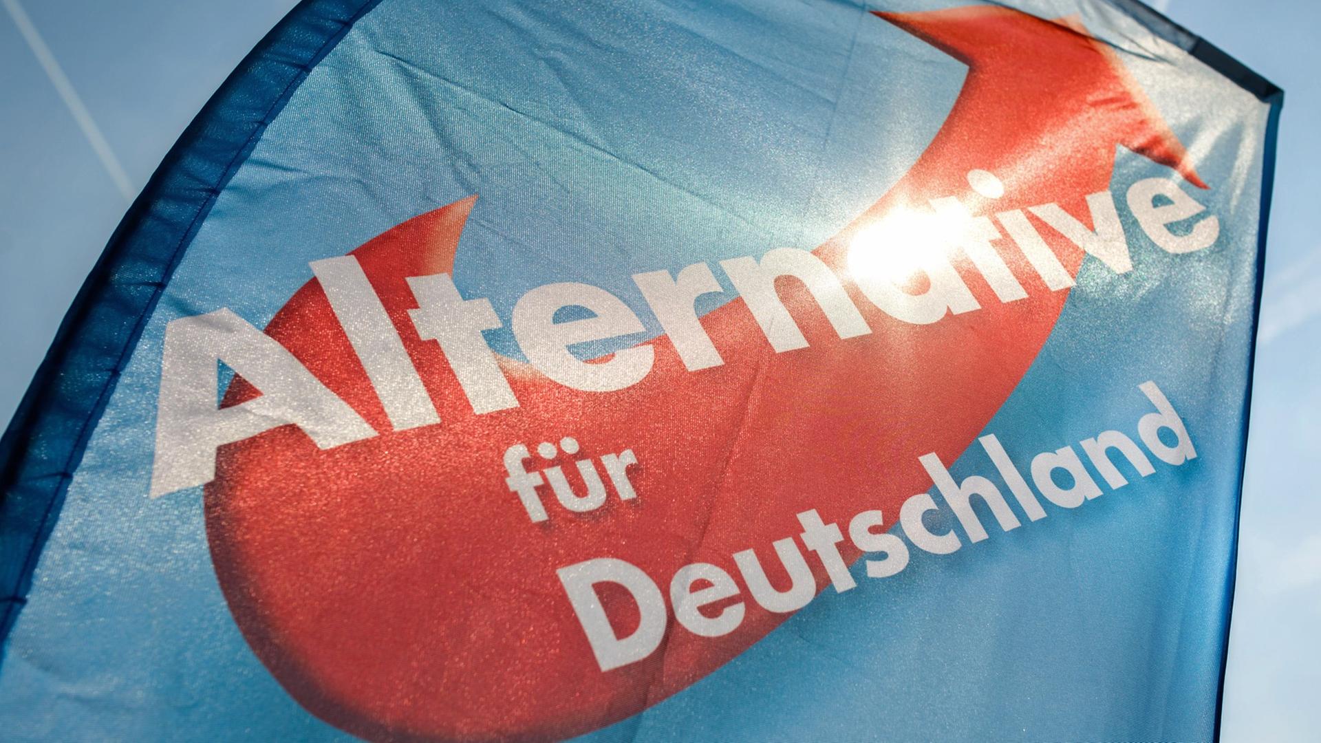 Nach der anfänglichen Euphorie folgt nun bald die Ernüchterung im politischen Alltag. Nach der anfänglichen Euphorie folgt nun bald die Ernüchterung im politischen Alltag.