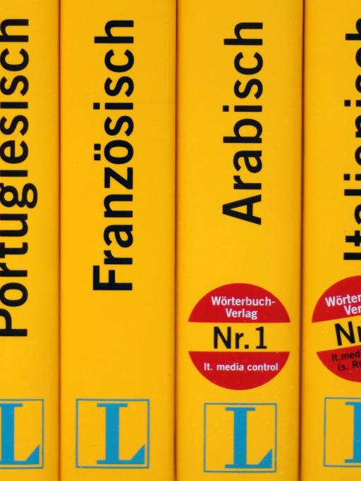 Mehrere Langenscheid Fremdsprachen-Wörterbücher stehen in einem Regal.