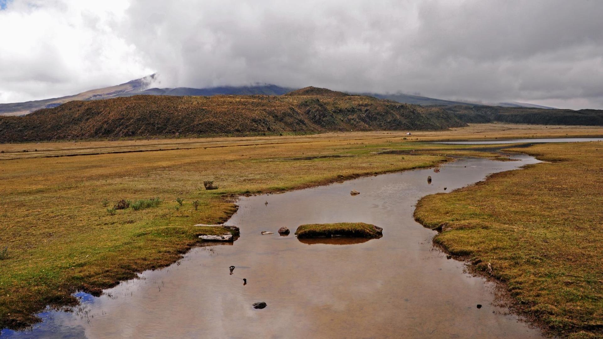 Unterwegs im ca. 4000 Meter hoch gelegenen Cotopaxi Nationalpark - er ist vor allem geprägt durch das typische ecuadorianische Grasland und kleinere Wasserläufe und trotz der Höhe üppigen Vegetation, aufgenommen am 15.10.2016. Foto: Reinhard Kaufhold/dpa-Zentralbild/ZB | Verwendung weltweit Unterwegs im ca. 4000 Meter hoch gelegenen Cotopaxi Nationalpark - er ist vor allem geprägt durch das typische ecuadorianische Grasland und kleinere Wasserläufe und trotz der Höhe üppigen Vegetation, aufgenommen am 15.10.2016. Foto: Reinhard Kaufhold/dpa-Zentralbild/ZB | Verwendung weltweit