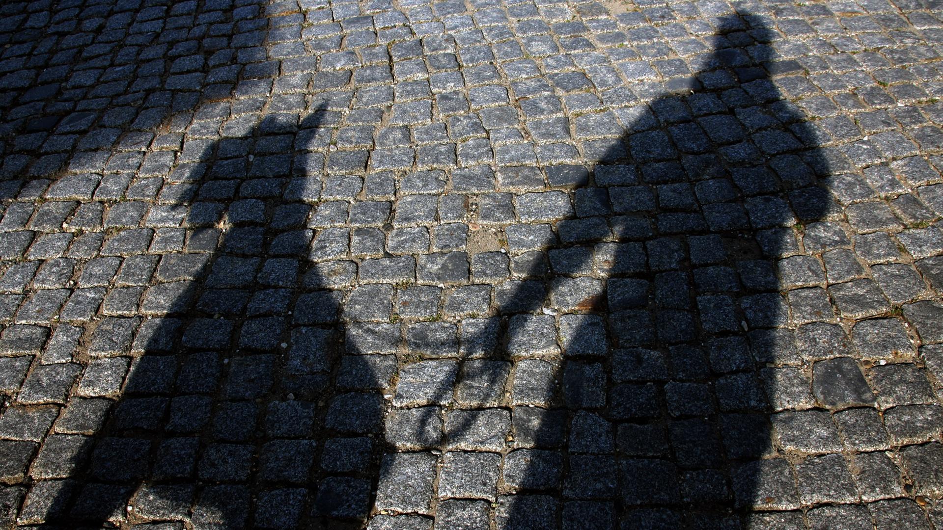 Ein Hund und sein Halter werfen am Schatten auf das Pflaster einer Straße, aufgenommen am 08.07.2007