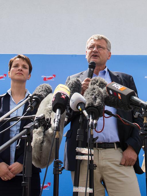 Frauke Petry (2. von links) und Jörg Meuthen (Mitte), die neugewählten Sprecher des Bundesvorstands der Alternative für Deutschland, bei einer Pressekonferenz am 10. Juli 2015 mit ihren Stellvertretern Alexander Gauland (links), Beatrix von Storch (2. von