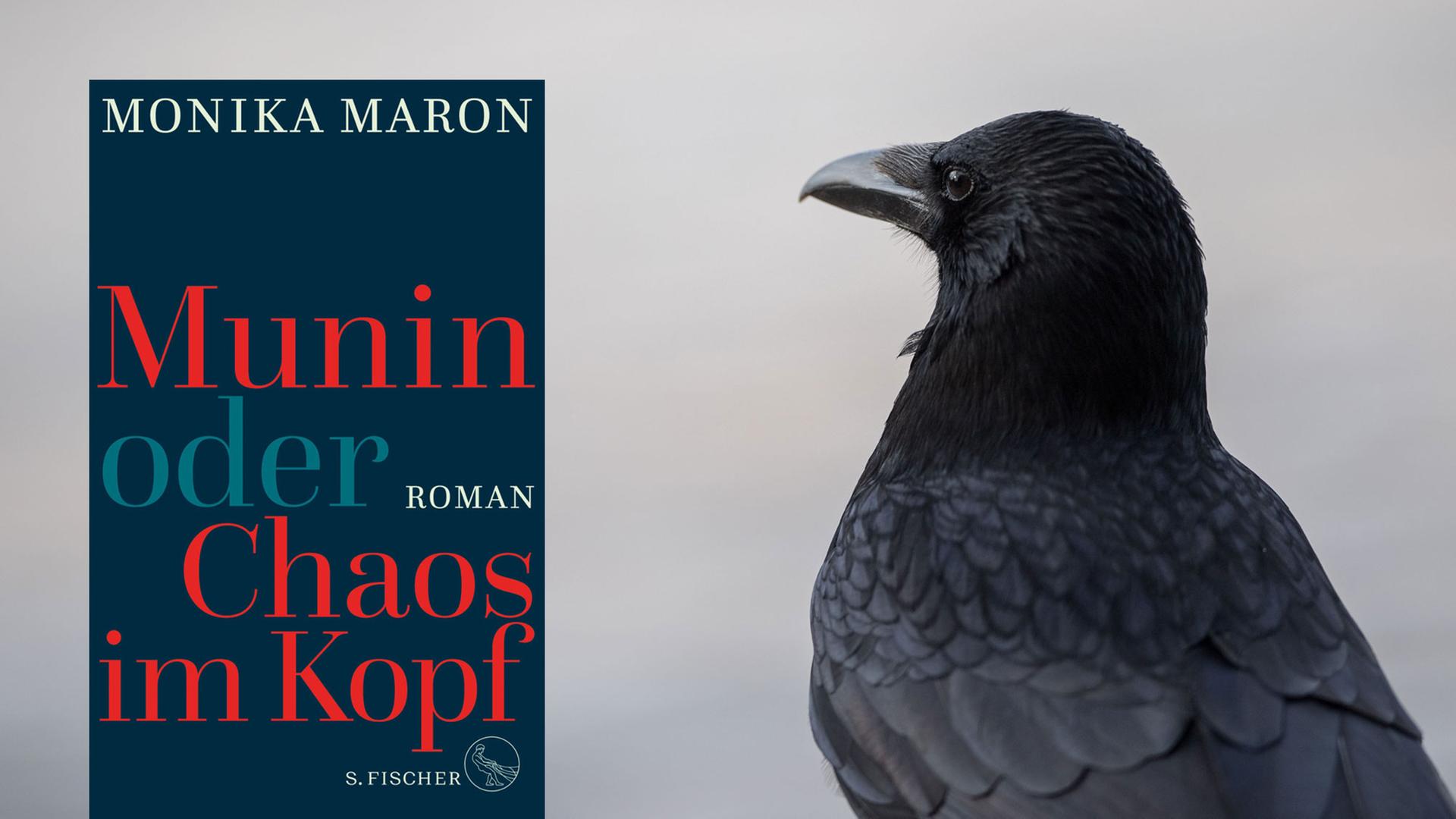 Cover von Monika Marons Buch "Munin oder Chaos im Kopf" Cover von Monika Marons Buch "Munin oder Chaos im Kopf"