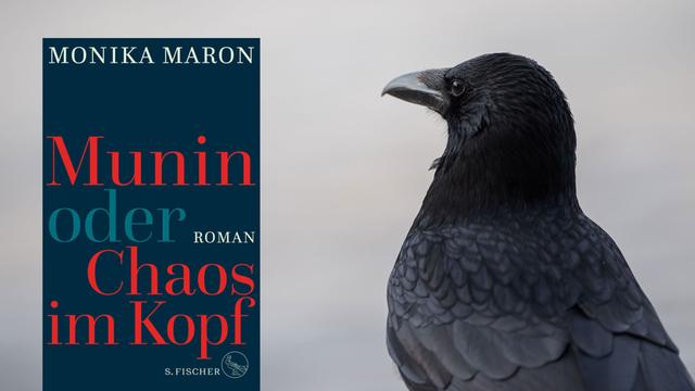 Cover von Monika Marons Buch "Munin oder Chaos im Kopf"
