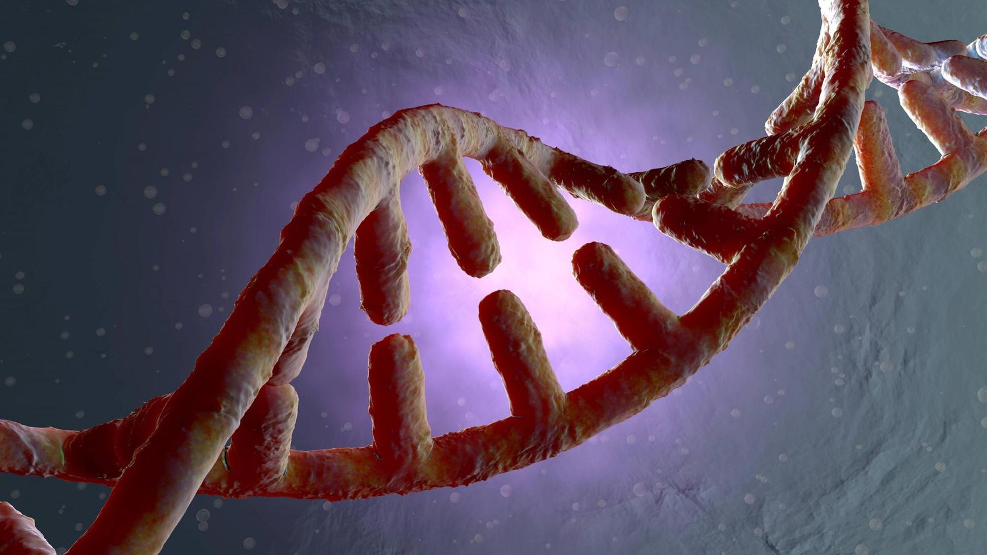 3D Modell einer Doppelhelix 3D Modell einer Doppelhelix