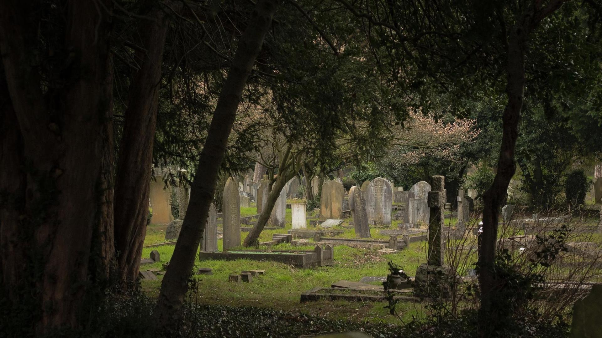Hanwell Cemetery, London, United Kingdom, England. Hanwell Cemetery, London, United Kingdom, England.