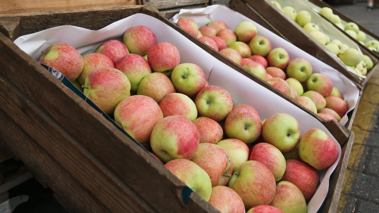 Ein Apfel-Stand in Warschau: Polen ist für Russland der größte Importeur von Äpfeln. Ein Apfel-Stand in Warschau: Polen ist für Russland der größte Importeur von Äpfeln.