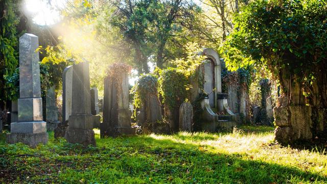 Jüdischer Friedhof im Sonnenlicht