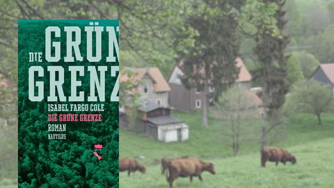 Buchcover "Die Grüne Grenze" von Isabel Fargo Cole, im Hintergrund Rinder auf einer Wiese im Harz