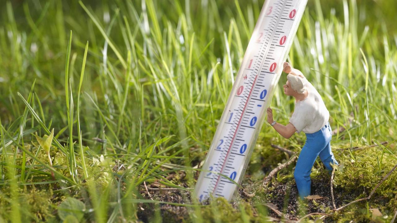 Eine kleine Figur steht auf einer Wiese und hält ein großes Thermometer in der Hand. Eine kleine Figur steht auf einer Wiese und hält ein großes Thermometer in der Hand.