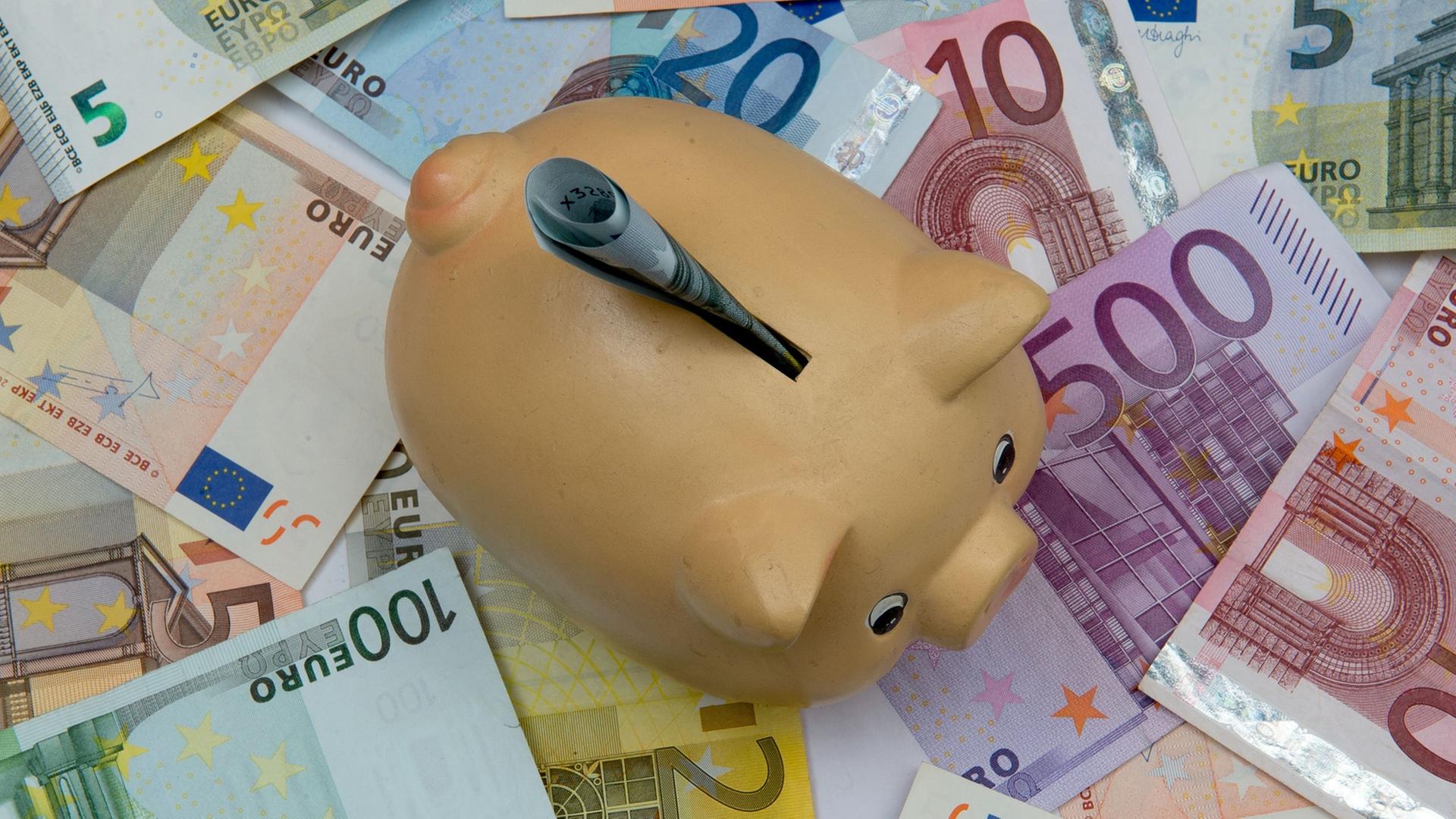 Ein Sparschwein steht auf verschiedenen Euro-Banknoten.
