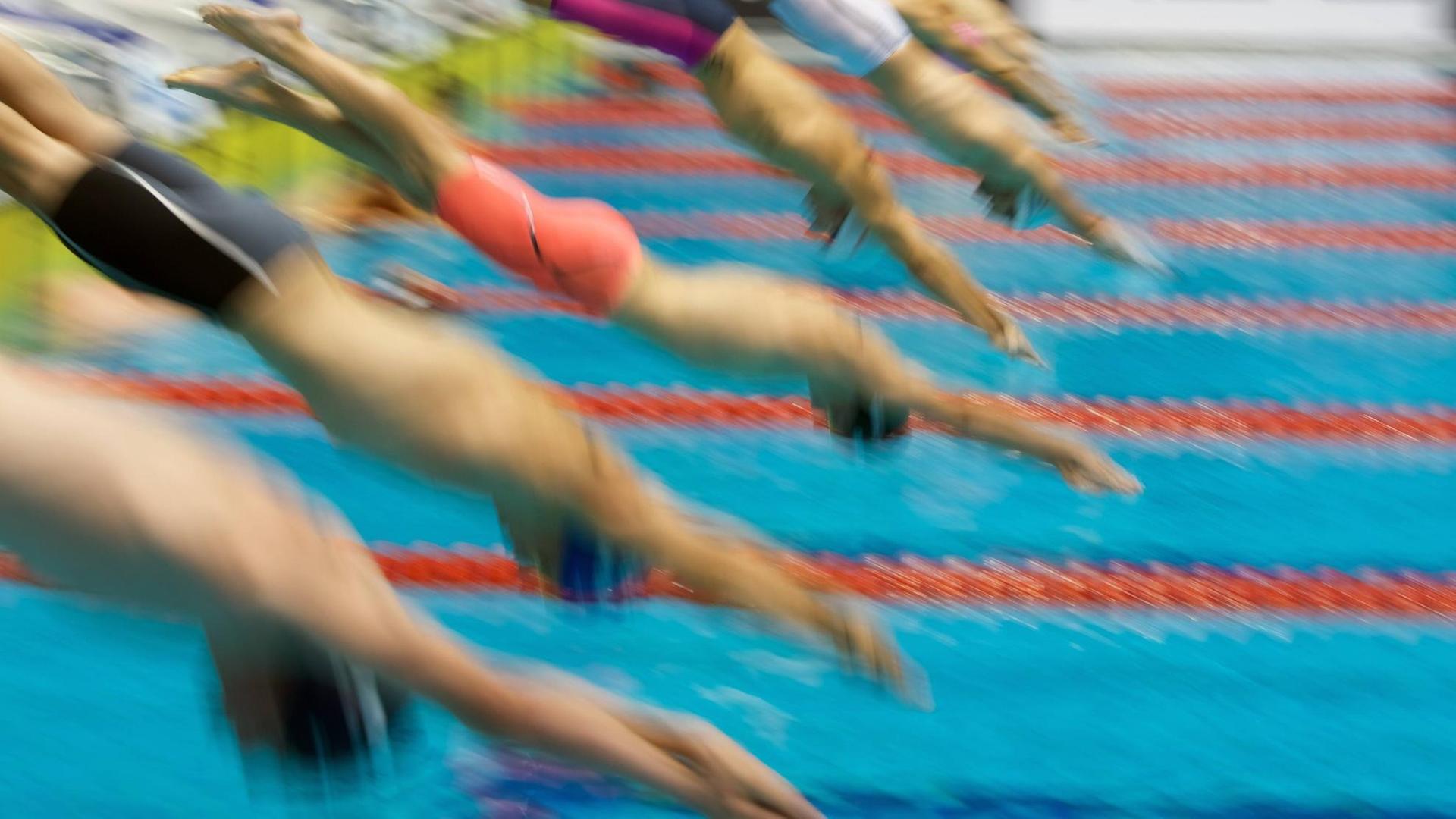 Schwimmer beim Start Schwimmer beim Start