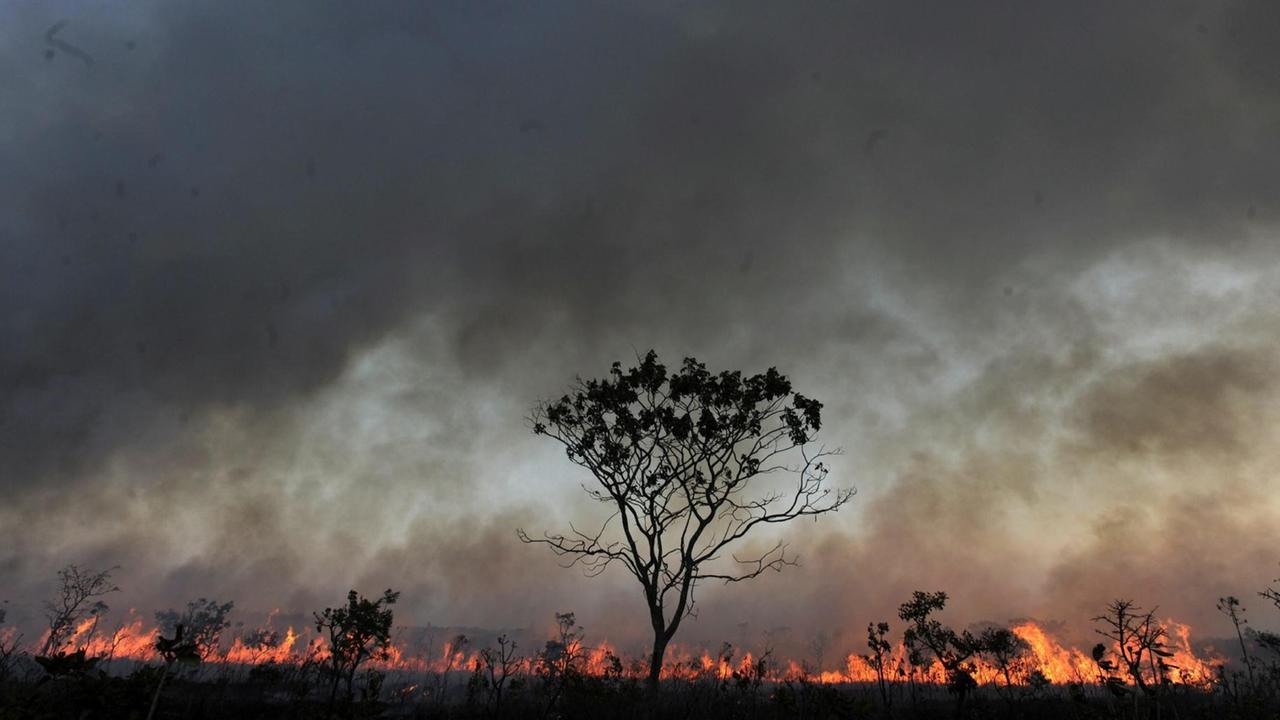 A general view of the fire in the National Park of Brasilia also known as 'Agua Mineral' in Brasilia, Brazil, 19 September 2010. More than 200 firemen an inhabitants of the region try to control the fire. EPA/FERNANDO BIZERRA JR |