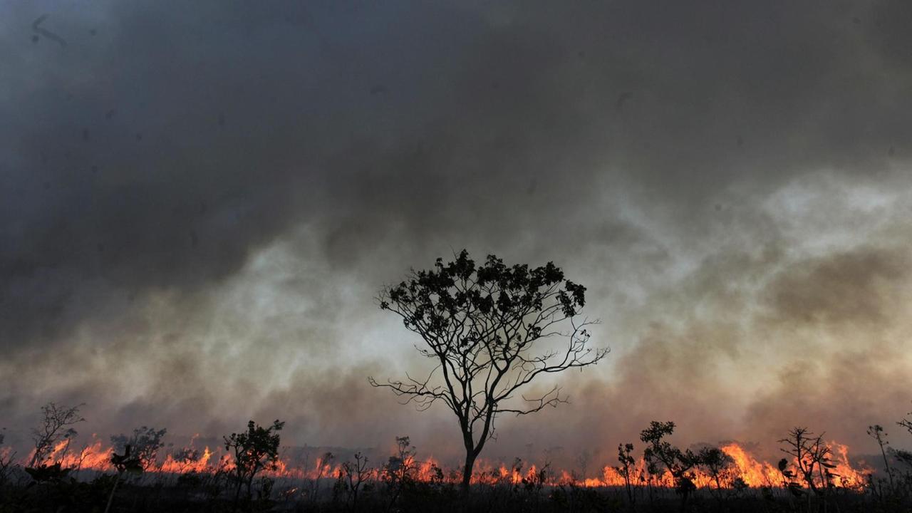 A general view of the fire in the National Park of Brasilia also known as 'Agua Mineral' in Brasilia, Brazil, 19 September 2010. More than 200 firemen an inhabitants of the region try to control the fire. EPA/FERNANDO BIZERRA JR | A general view of the fire in the National Park of Brasilia also known as 'Agua Mineral' in Brasilia, Brazil, 19 September 2010. More than 200 firemen an inhabitants of the region try to control the fire. EPA/FERNANDO BIZERRA JR |