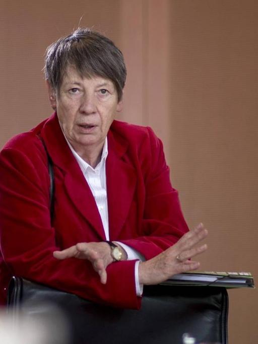 Bundesumweltministerin Barbara Hendricks (SPD).