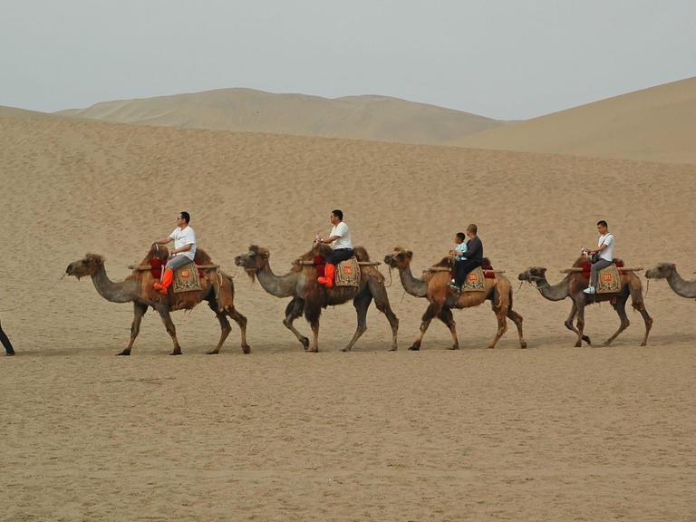 Touristen auf Kamelen besichtigen einen Teil der Seidenstraße in China nahe der Stadt Chongqing