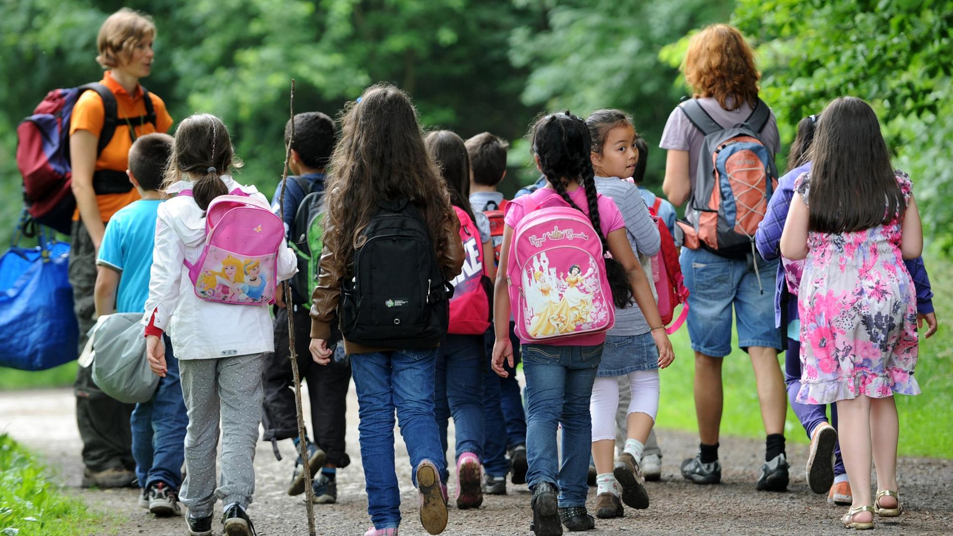 Eine Schulklasse geht durch einen Wald Eine Schulklasse geht durch einen Wald