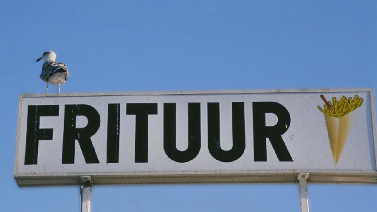 Ein Schild mit der Aufschrift "Frituur" mit einer Möwe drauf. Ein Schild mit der Aufschrift "Frituur" mit einer Möwe drauf.