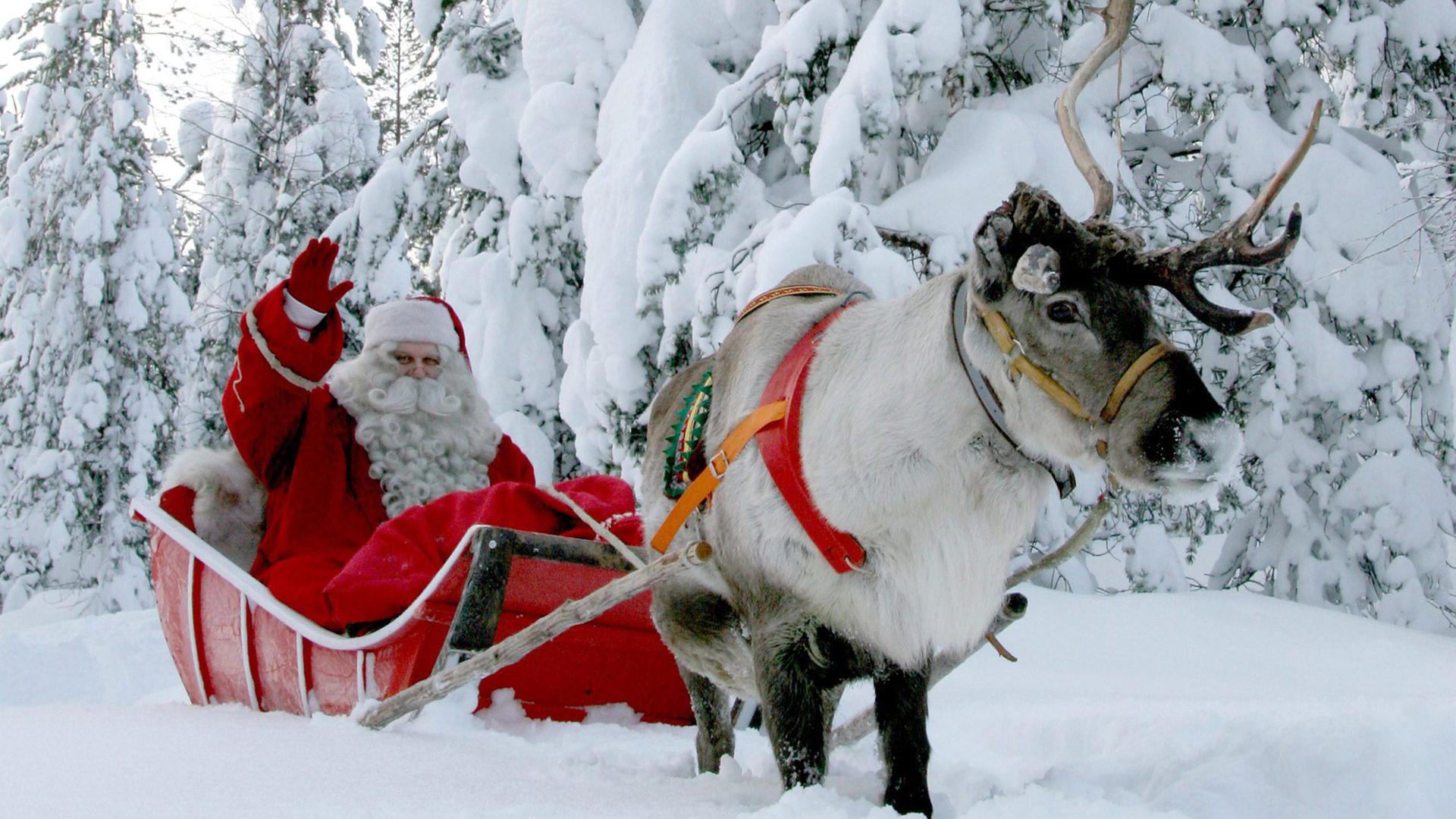 Ein als Weihnachtsmann oder Nikolaus verkleideter Mann sitzt auf einem Schlitten, der von einem Rentier gezogen wird. Im Hintergrund sieht man schneebedeckte Tannen. Ein als Weihnachtsmann oder Nikolaus verkleideter Mann sitzt auf einem Schlitten, der von einem Rentier gezogen wird. Im Hintergrund sieht man schneebedeckte Tannen.