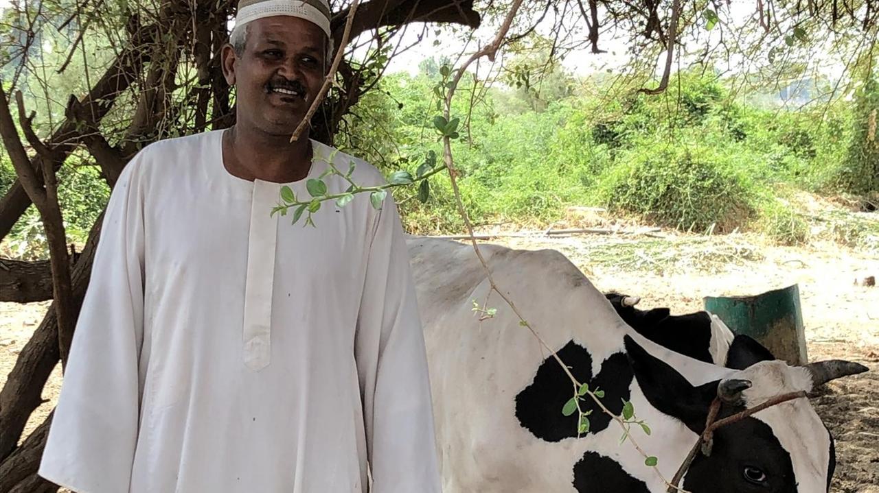 Der 48-jährige Bauer Magdy Omar Ali Magdy mit einer seiner Kühe. Er trägt ein weißes Gewand unter einem Baum. Hinter ihm eine Kuh.
