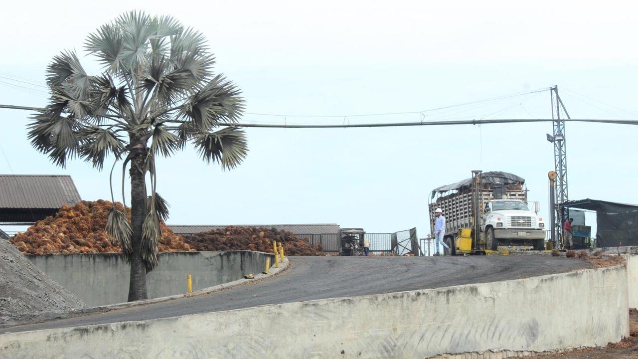 Palmöl Fabrik des Unternehmens Oleoflores in María La Baja