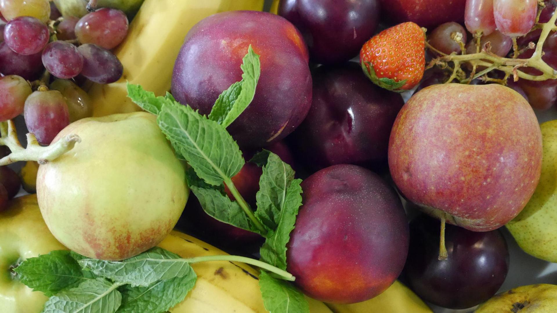Verschiedene Sorten Obst liegen auf einem Teller. Verschiedene Sorten Obst liegen auf einem Teller.