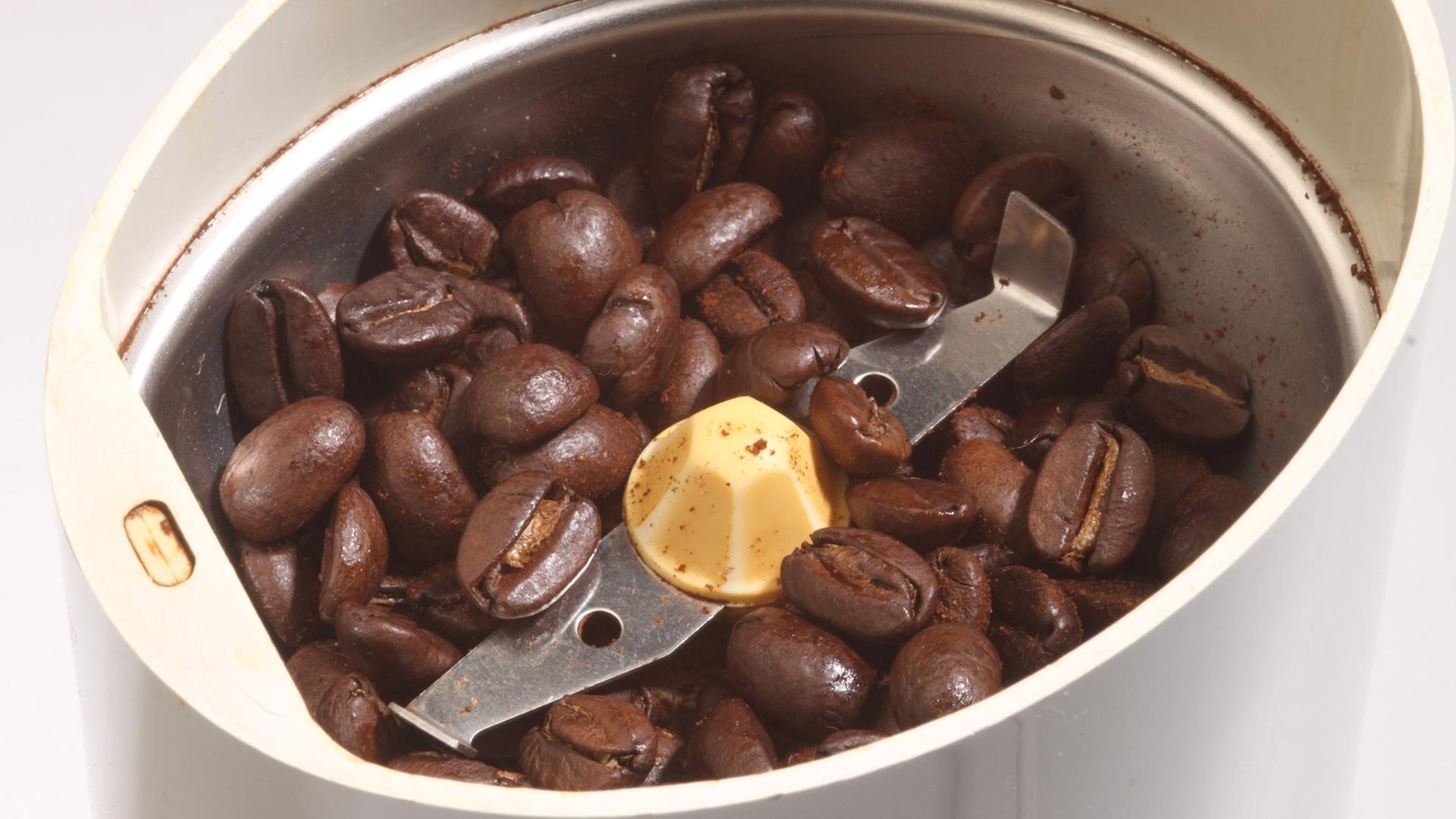 Elektrische Kaffeemühle mit Bohnen. Elektrische Kaffeemühle mit Bohnen.