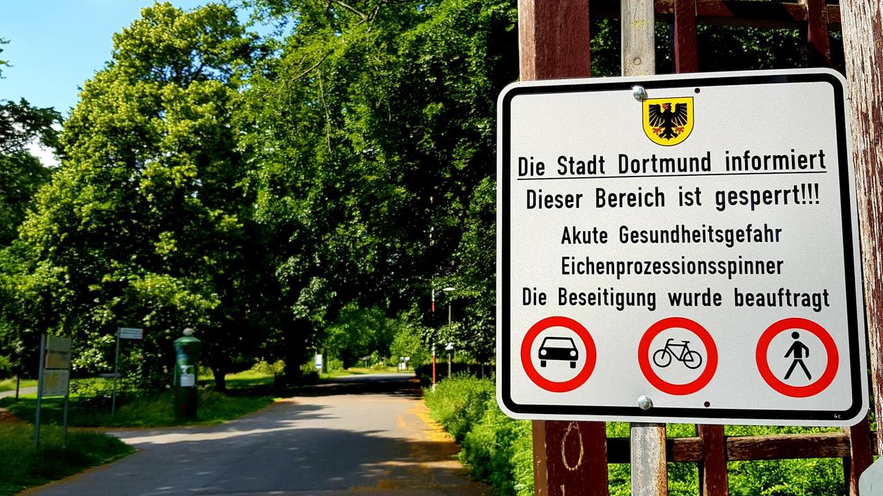 Wegen Befalls mit dem Eichenprozessionsspinner musste die Stadt Dortmund einen Park für mehrere Wochen sperren. Wegen Befalls mit dem Eichenprozessionsspinner musste die Stadt Dortmund einen Park für mehrere Wochen sperren.