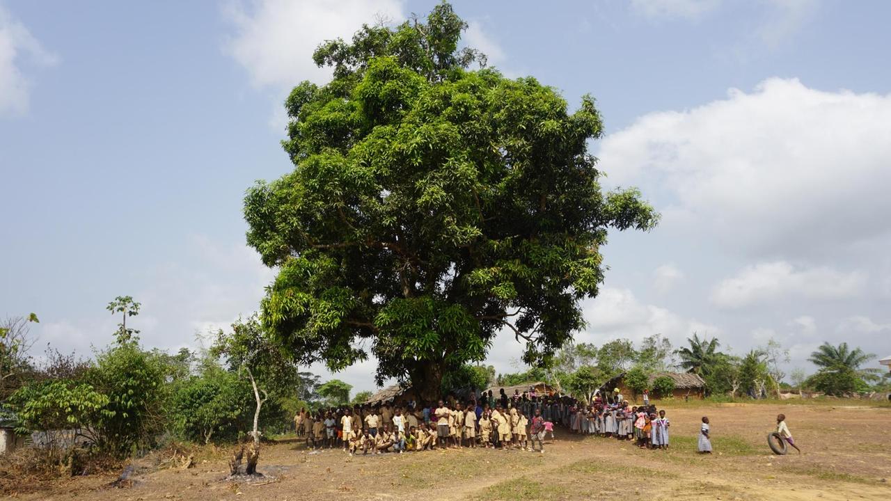 In einer wüstenartigen trockenen Landschaft steht ein prächtiger hoher saftig grüner und verzweigter Baum unter dem sich viele Kinder versammeln. In einer wüstenartigen trockenen Landschaft steht ein prächtiger hoher saftig grüner und verzweigter Baum unter dem sich viele Kinder versammeln.