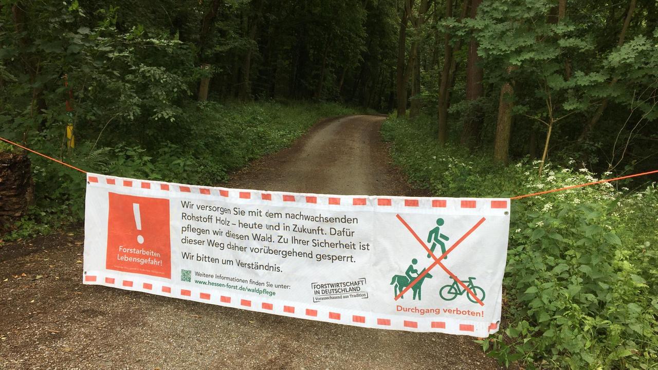 In einem Wald wurde ein Transparent quer über den Weg gespannt. Es informiert über die Sperrung des Weges. In einem Wald wurde ein Transparent quer über den Weg gespannt. Es informiert über die Sperrung des Weges.