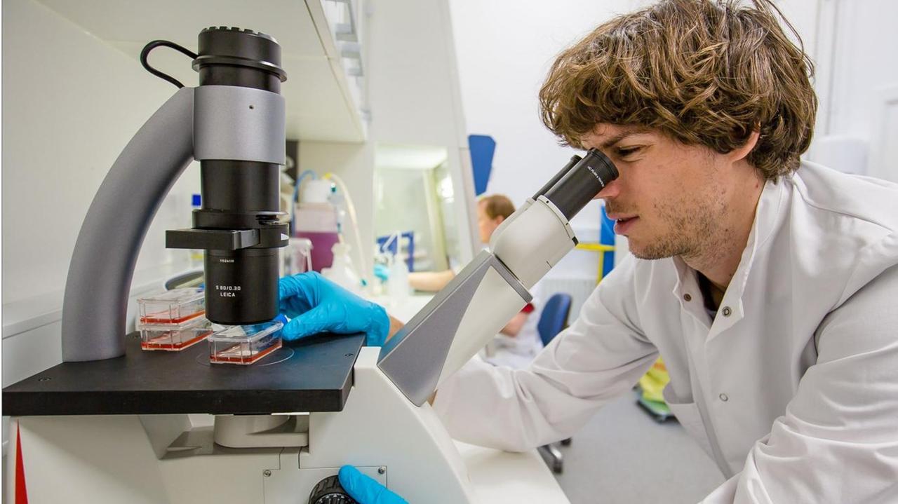 Silas Boye Nissen im Labor beim Mikroskopieren