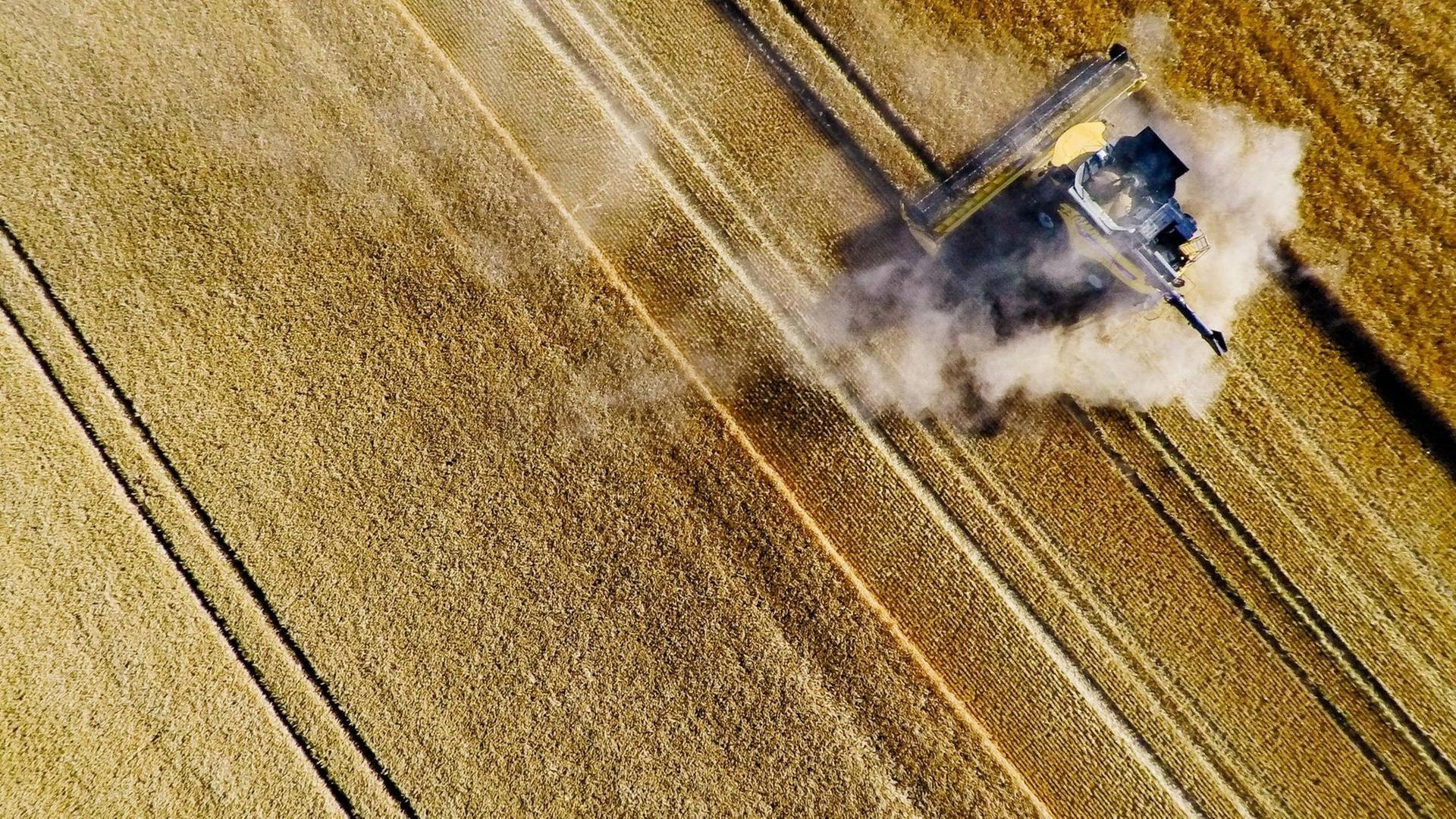 Gerstenernte nach wochenlanger Trockenheit in Erfurt. Neben der Erntemaschine ist viel Staub zu sehen. Gerstenernte nach wochenlanger Trockenheit in Erfurt. Neben der Erntemaschine ist viel Staub zu sehen.