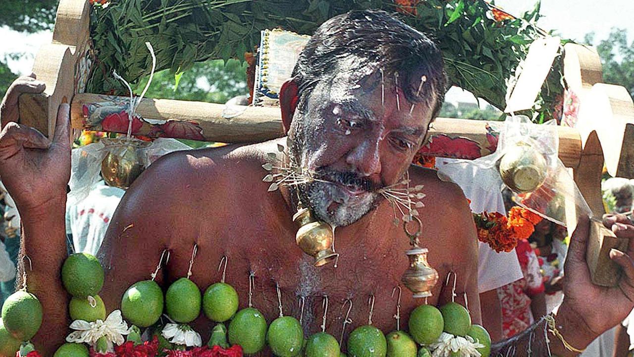 Ein Hindu trägt beim jährlichen Kavady-Festival einen mit Nadeln und Haken versehenen Holzbanken auf den Schultern. Ein Hindu trägt beim jährlichen Kavady-Festival einen mit Nadeln und Haken versehenen Holzbanken auf den Schultern.