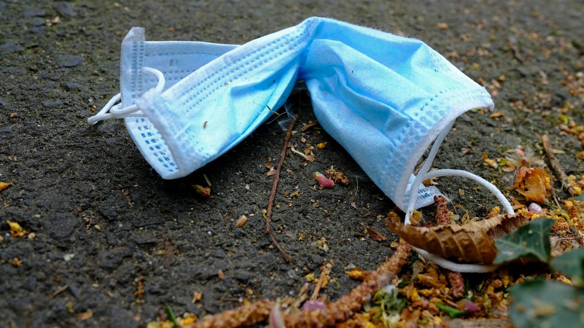 Eine Einmalmaske liegt neben Blüten auf dem Asphalt. Eine Einmalmaske liegt neben Blüten auf dem Asphalt.