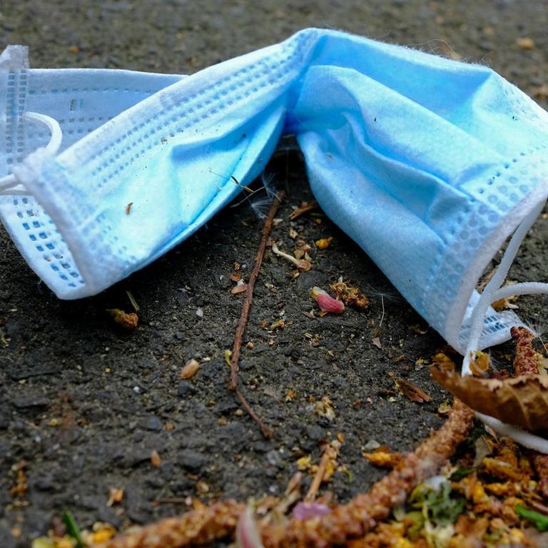 Eine Einmalmaske liegt neben Blüten auf dem Asphalt.