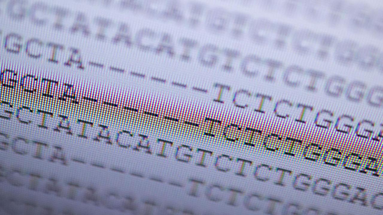Auf einem Computerbildschirm im Landesgesundheitsamt Baden-Württemberg wird die DNA-Analyse eines mutierten Coronavirus in der Variante, die zuerst in Großbritannien aufgetreten ist, angezeigt. Auf einem Computerbildschirm im Landesgesundheitsamt Baden-Württemberg wird die DNA-Analyse eines mutierten Coronavirus in der Variante, die zuerst in Großbritannien aufgetreten ist, angezeigt.