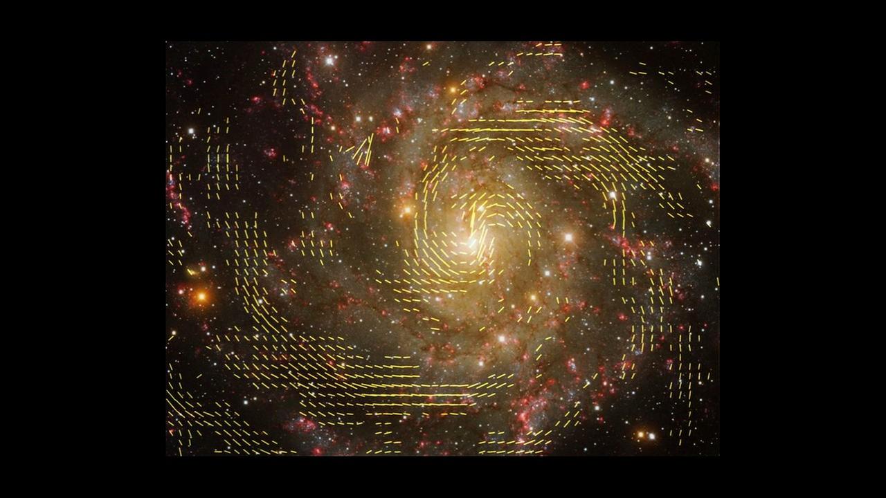 Die Magnetfeldstruktur von IC 342 Die Magnetfeldstruktur von IC 342