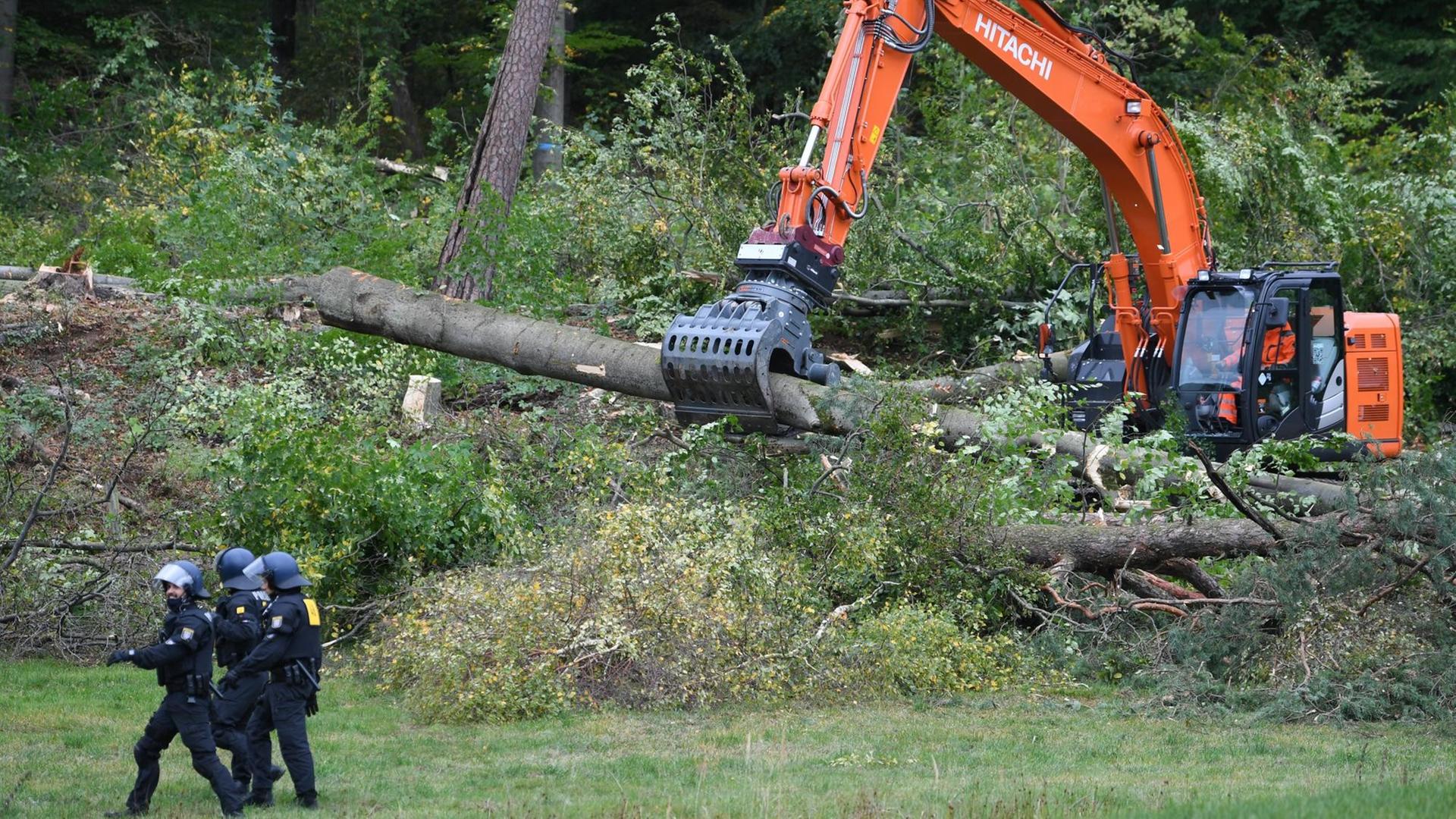 Eine Maschine fällt einen Baum. Eine Maschine fällt einen Baum.