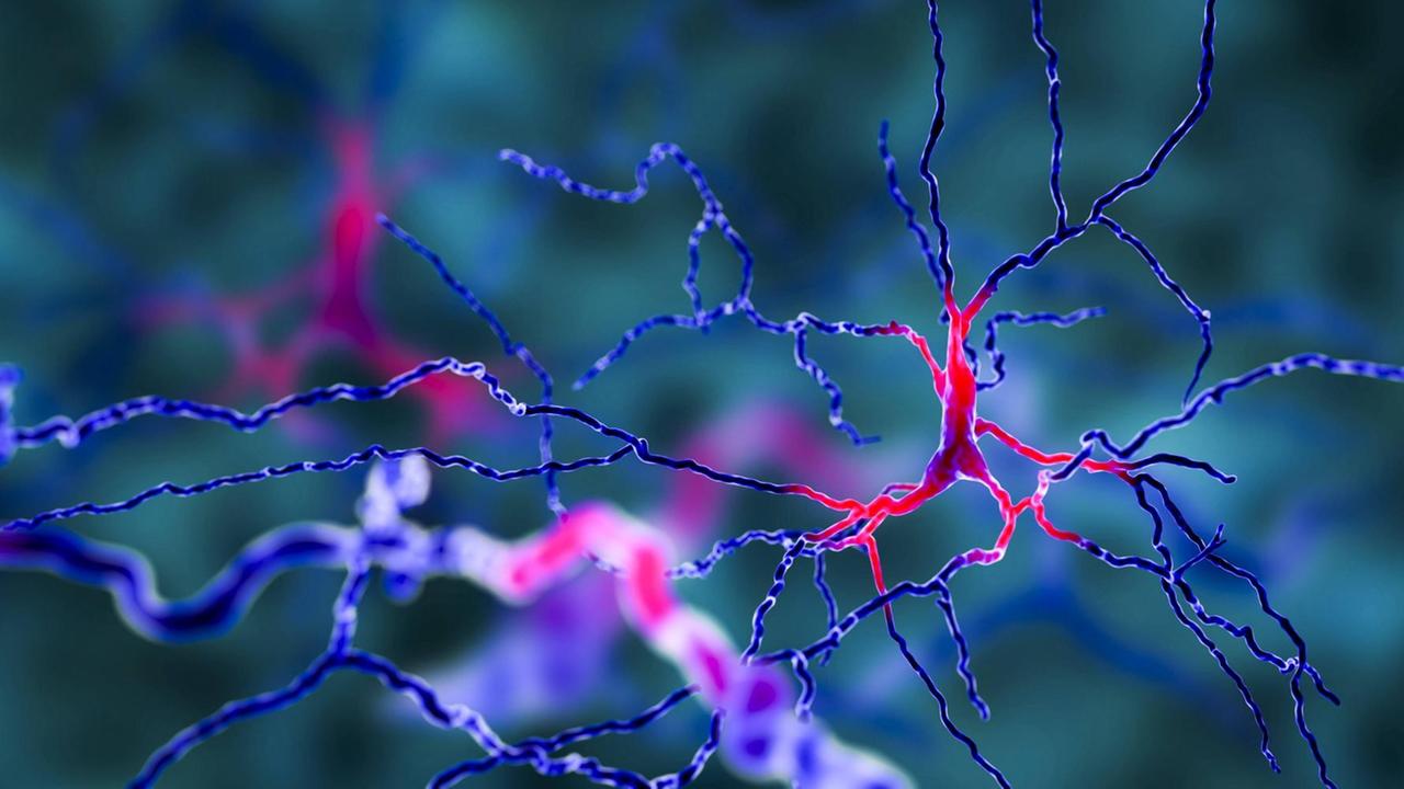 Dopamin-Neuron im Gehirn (Illustration)