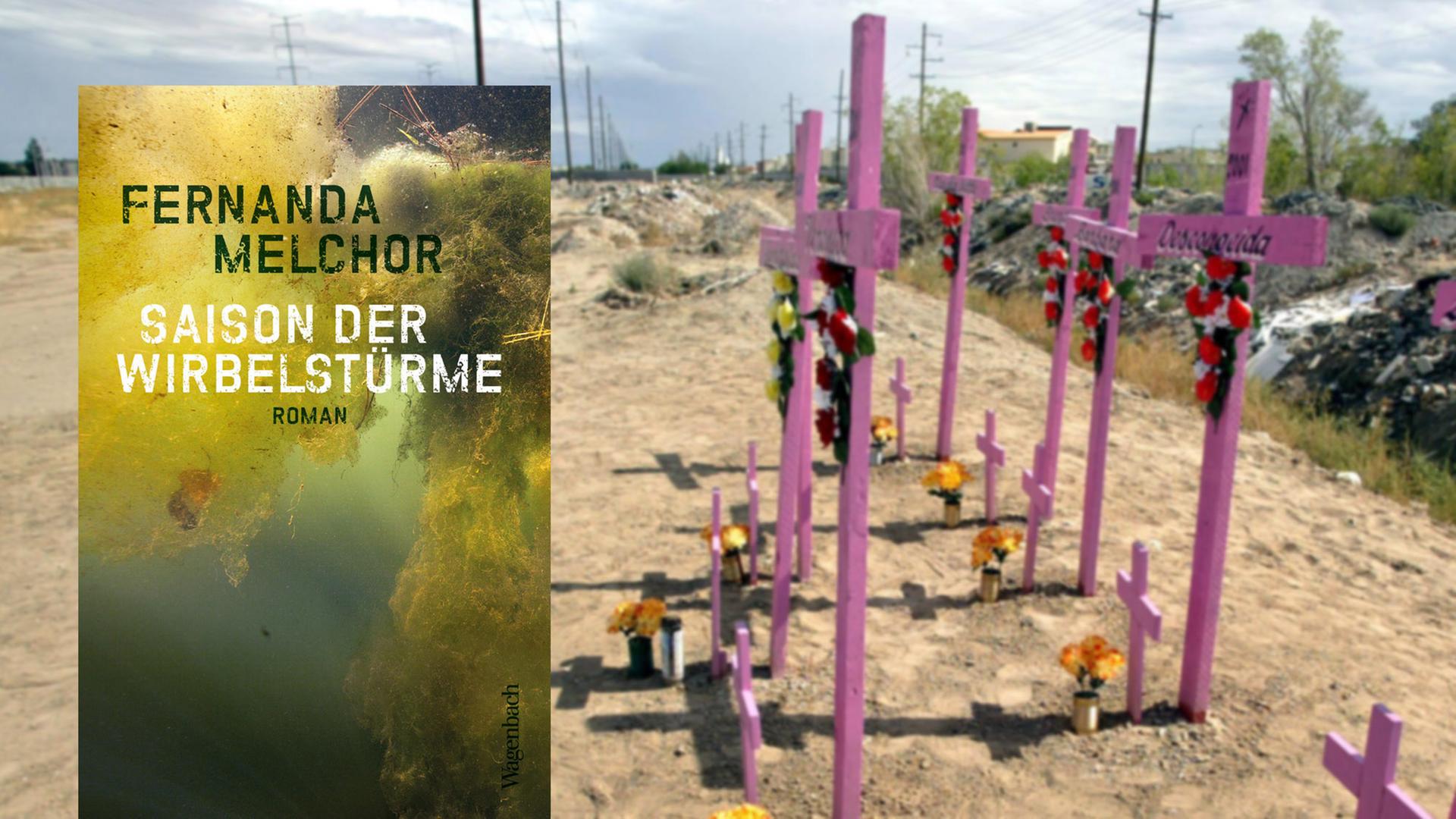 Cover des Buches "Saison der Wirbelstürme" von Fernanda Melchor. Im Hintergrund acht Kreuze an einem Ort in Ciudad Juarez, Chihuahua, an dem 2001 acht Frauen ermordet worden waren.