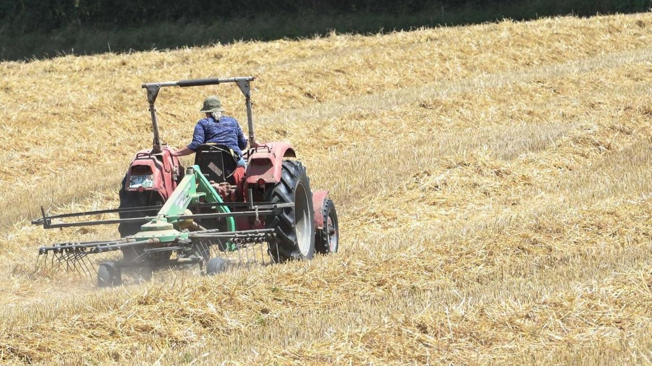 Ein Traktor auf einem abgeernteten Getreidefeld formiert das Stroh, damit Strohballen geerntet werden können. Ein Traktor auf einem abgeernteten Getreidefeld formiert das Stroh, damit Strohballen geerntet werden können.