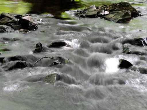 Wasser fließt durch einen Bach.